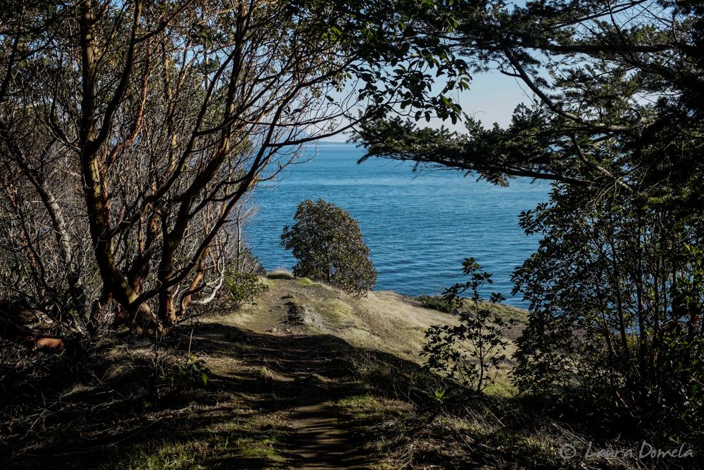 Approaching Johnson Point from the trail.