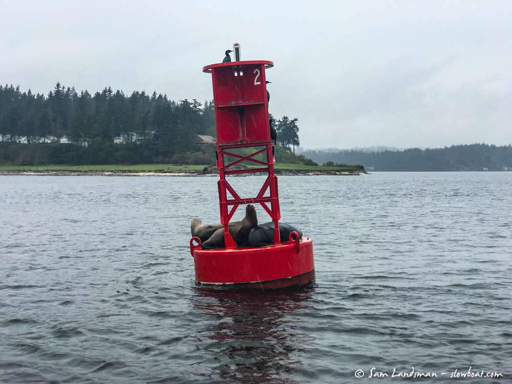 Puget Buoy  Seattle WA