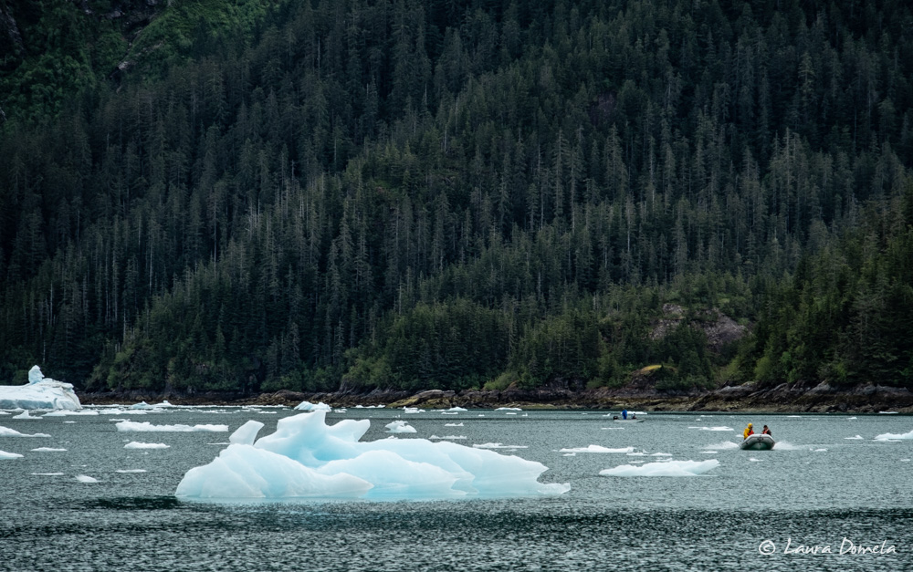 petersburg alaska glacier tours