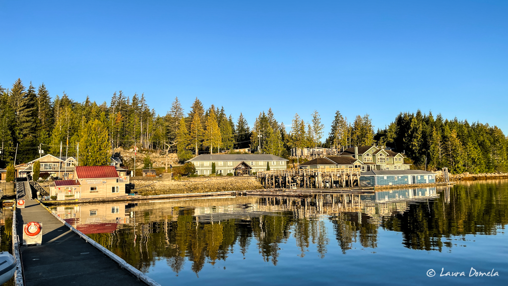 The pinks have arrived in the Campbell River; let the fishing frenzy begin  - Campbell River Mirror