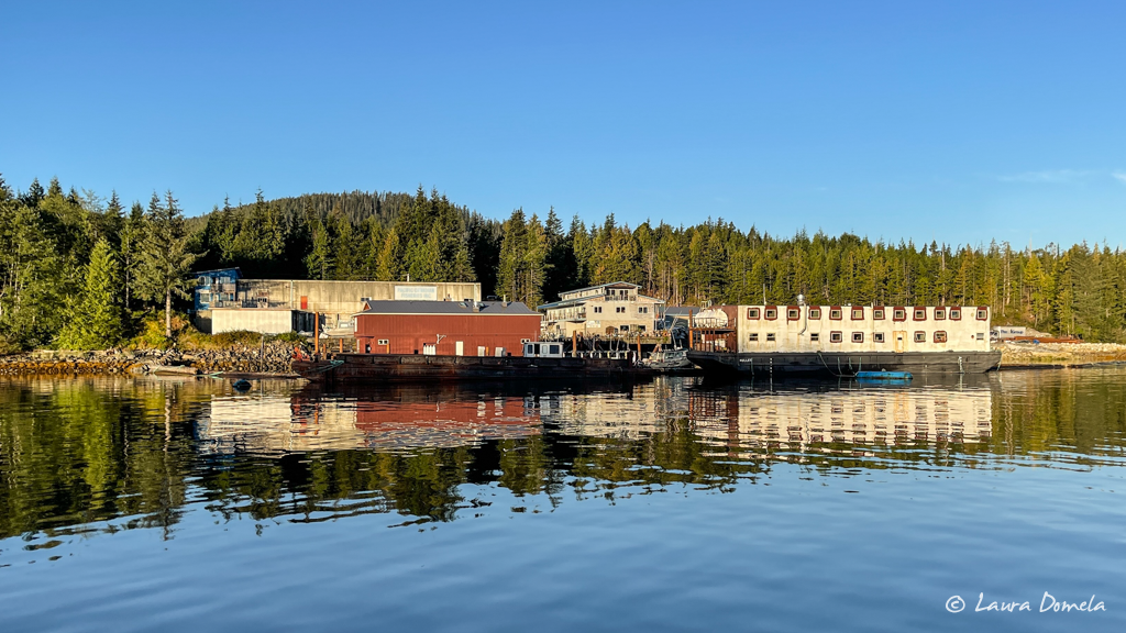 The pinks have arrived in the Campbell River; let the fishing frenzy begin  - Campbell River Mirror