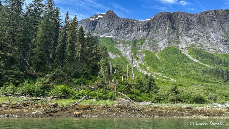 Day 40-41 | 2024 Flotilla to Alaska | Tracy Arm Cove to Ford’s Terror ...